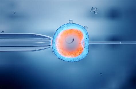 Best Ivf Treatment Center Clinic In Cyprus Argentina Albania Europe