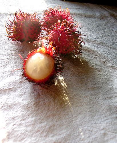 The rambutan fruit is about the size of a golf ball and has a red skin with soft green/reddish spikes. the scent of green bananas: name that fruit!: rambutan.