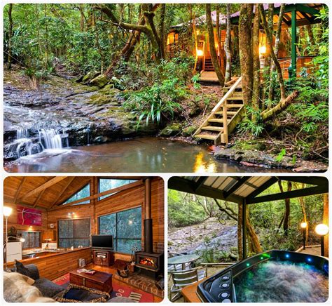 To learn about the springbrook rainforest restoration project and the world heritage area. Pin on Destinations