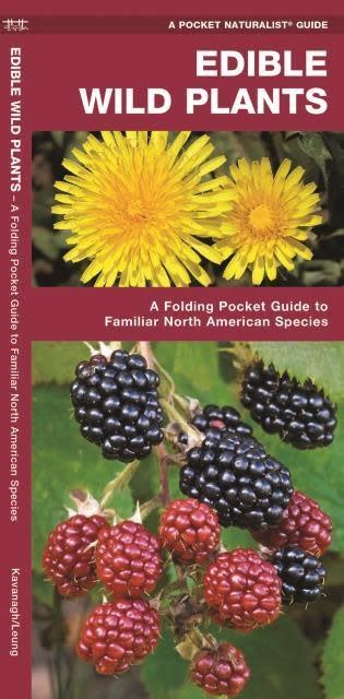 Edible Wild Plants A Folding Pocket Guide To Familiar North American