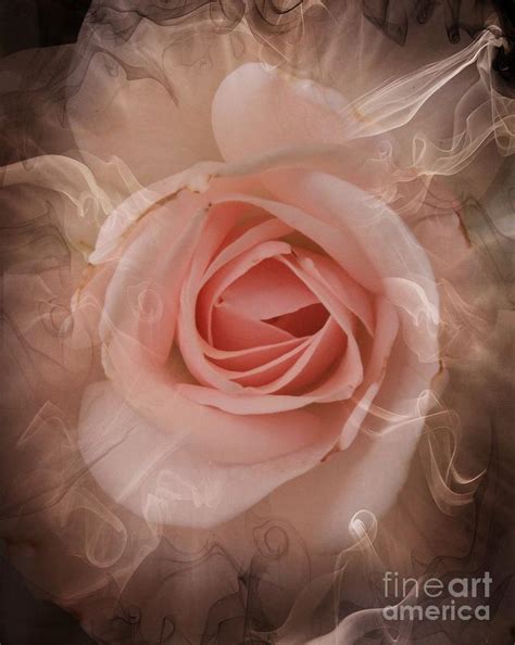 Pink Smokey Photograph By Clare Bevan Fine Art America
