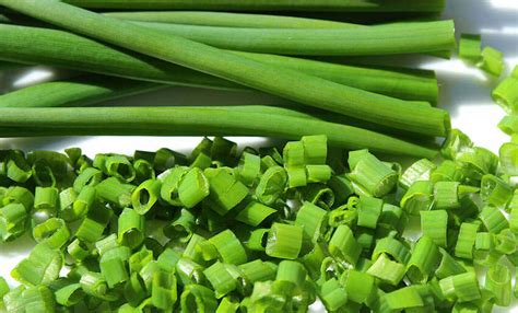 The Difference Between Chives Scallions And Green Onions Escoffier