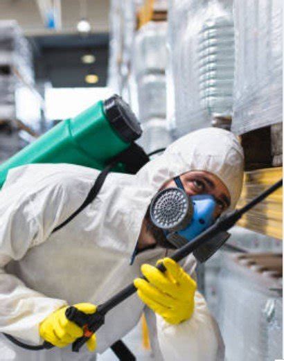 Exterminating And Pest Control Services — Enserve Contractors Llc