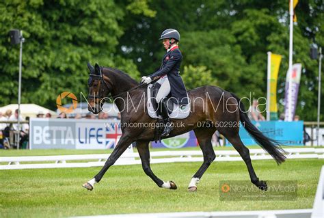 Image Rosalind Canter And Pencos Crown Jewel Bramham Horse Trials