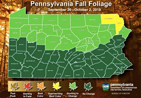 Heres When Pa Will Reach Peak Fall Foliage This Year