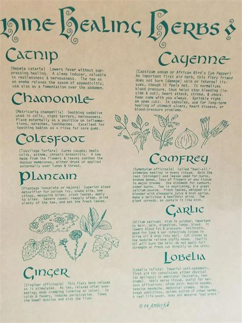 The 9 Healing Herbs Poster Includes Scientific Names And Uses For