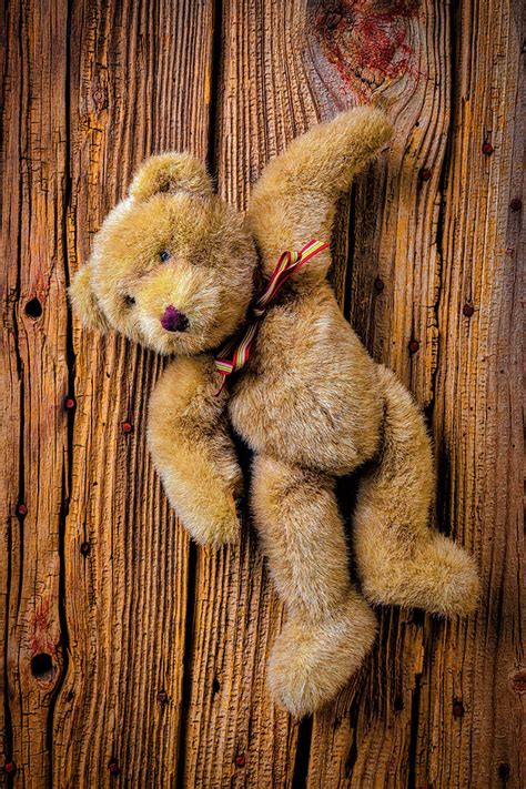 Old Teddy Bear Hanging On The Door Photograph By Garry Gay Pixels
