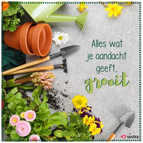 Deel deze op sociale media zodat anderen ook beginnen aan hun innerlijke reis. Alles wat je aandacht geeft, groeit. | Sestra | Quotes ...