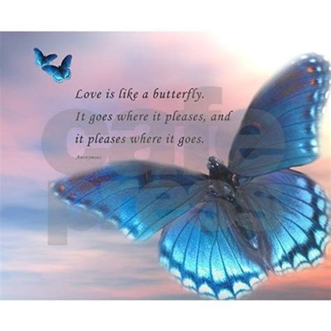 butterfly love by admin cp7743224 butterfly quotes picture quotes butterfly
