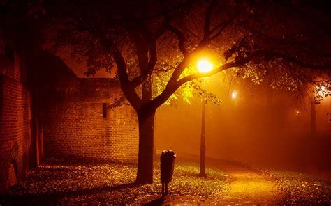 Landscapes Night Lights Mood Autumn Fall Seasonal Fog Mist Places