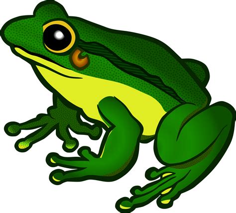 Free Frog Clipart Transparent Download Free Frog Clipart Transparent