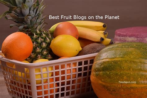 35 Best Fruit Blogs And Websites To Follow In 2023