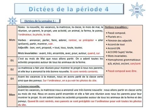 Dictées Flash Programmation Picot Grammaire Au Jour Le Jour Ce2 Cm1
