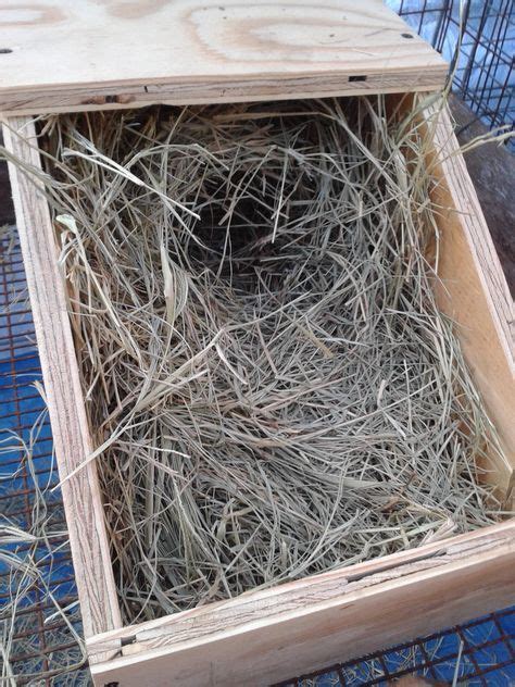 How To Build Rabbit Nest Boxes HOMEGROWN Rabbit Nest Nesting Boxes