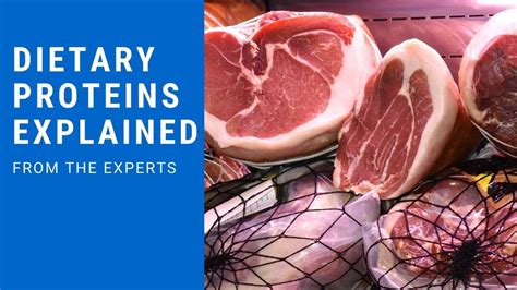 Dietary Proteins Explained Quick Guide The Nash Facts Project