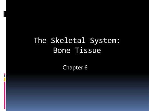 Ppt The Skeletal System Bone Tissue Powerpoint Presentation Free