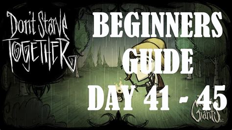 The leaves should not have any moisture or water. Don't Starve Together - Beginner's Guide - Day 41 - 45 - Sanity , Wetness, More Frogs, Bees ...