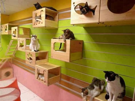 Looking to add to your cat decor? Creative Decor for Cats | Home Design, Garden ...