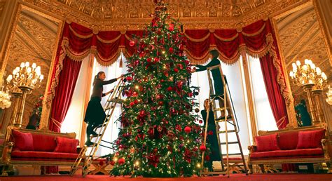 First Look At The Queens Two 20ft Christmas Trees At Windsor Castle