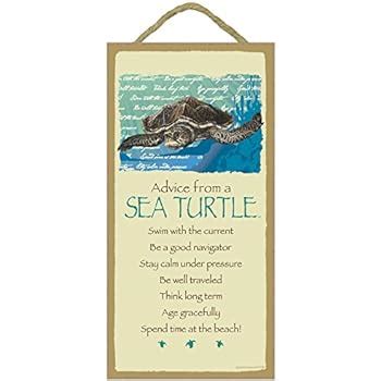 Amazon Com Dyenamic Art Sea Turtle Wisdom Sea Turtle Gift Metal Sign