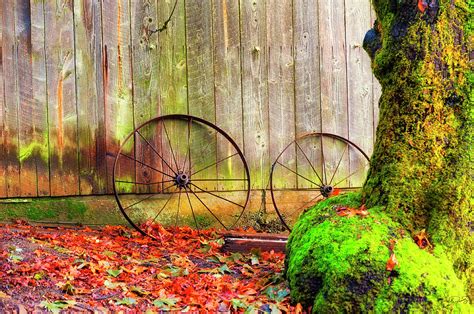 Wagon Wheels And Autumn Leaves Photograph By Dee Browning