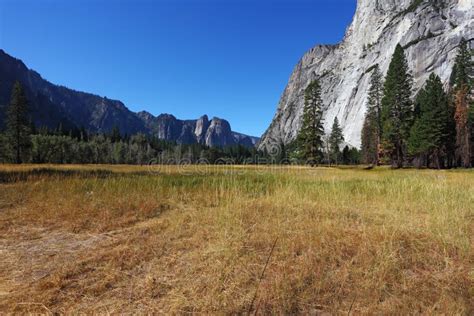 The Meadow In Yosemite Park Stock Image Image Of Tourism Scenin