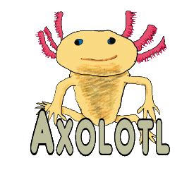 Connect with them on dribbble; Axolotl Puns