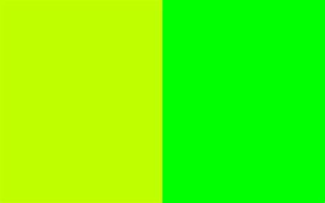 Neon Green Background 55 Images