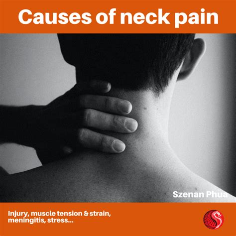 Causes Of Neck Pain Best Acupuncture Hamilton Nz