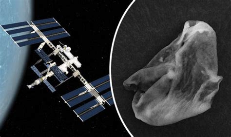 Scientists Find Proof Aliens Exist As Samples From Iss Reveal