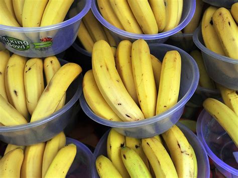 The Future Of Bananas Is B A N A N A S National Post