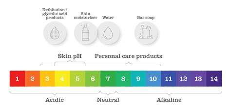 Skin Ph Cleansers And The Skin Microbiome The Secret Life Of Skin