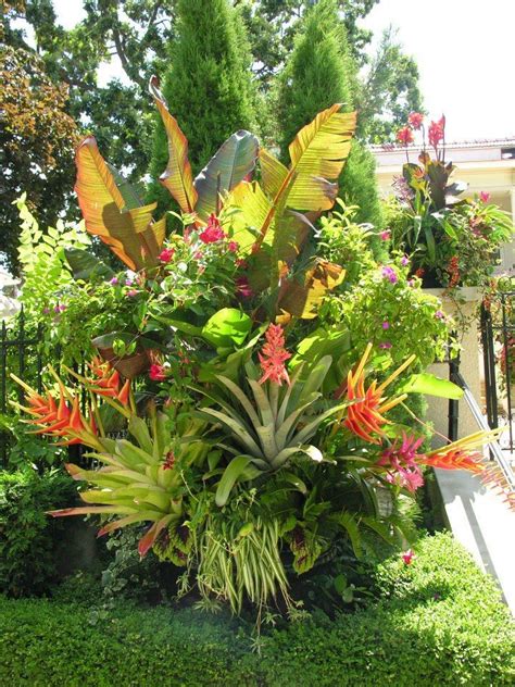 43 Tropical Plants Landscaping Ideas Garden Design