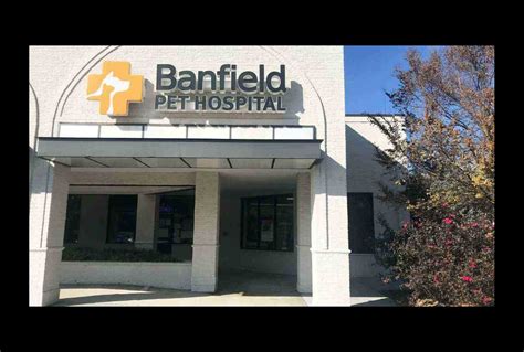 Veterinarians in Greensboro (S) | Banfield Pet Hospital®