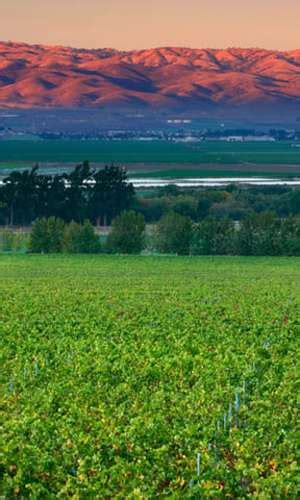 Salinas Valley Ca Wine Country Wineries Hotels