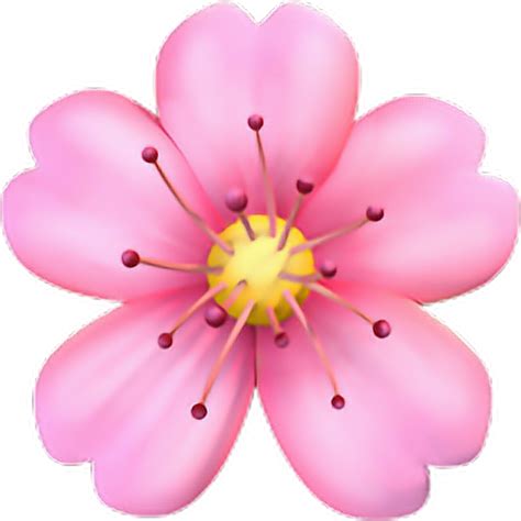 Png Emoji Flower Iphone Sticker By Conny Garces Svg Iphone Flower