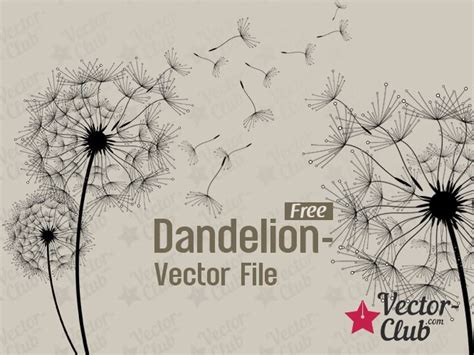 These files are great for creating tshirts, mugs, prints and signs using a cricut or silhouette machine. Dandelion - Free Vector File | Scrapbook freebies ...