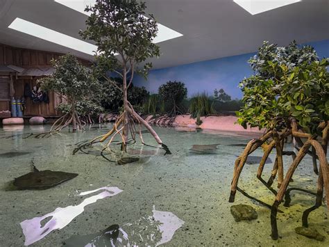 See 83 unbiased reviews of dos margaritas, rated 4 of 5 on tripadvisor and ranked #77 of 693 restaurants in fort wayne. Have you ever petted a Stingray? Well you can at Fort ...