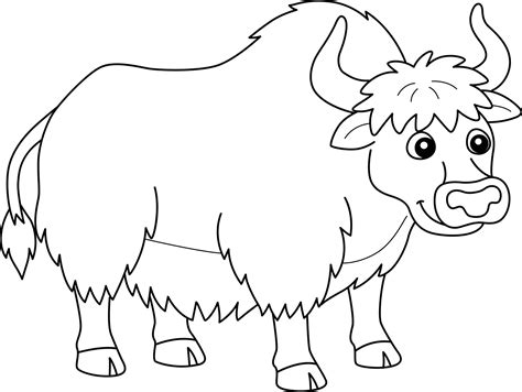 Yak Coloring Vector Art Icons And Graphics For Free Download