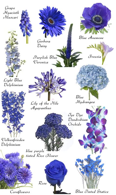 Bilder auch von blüten und vorfrühlingserwachen. Flower names by Color | Blaue hochzeitsblumen, Namen von ...