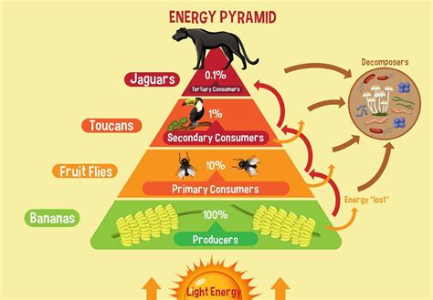 Energy Pyramid 196