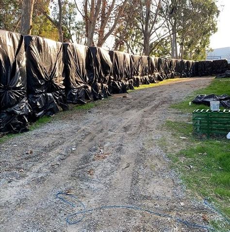 Farm Plastic Supply Black Plastic Sheeting 10 Mil 25 X 100