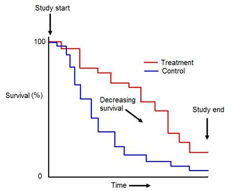 Hazard and Hazard Ratio in Statistics