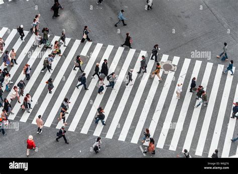 Shibuya Crossing Crowds At Intersection Many Pedestrians Cross Zebra