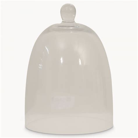 Glass Bell Dome Homeware One World