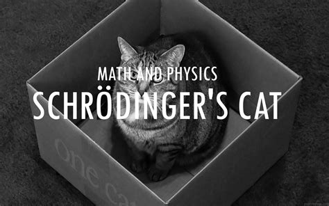 audiepedia the paradox of schrödinger s cat