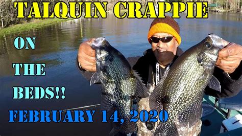 Lake Talquin Spawning Crappie Fishing Eps29 Youtube