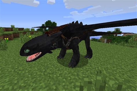 Dragon Mods For Minecraft Pe Apk For Android Download