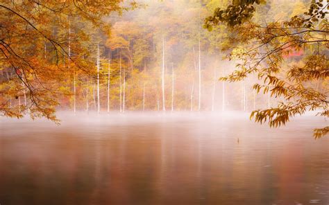 Photography Landscape Nature Fall Forest Mist Lake Trees