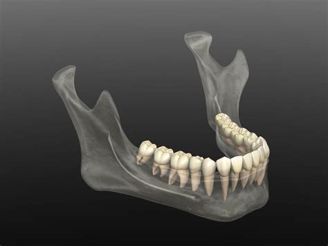 Dental Bone Loss Treatment Brampton Dentist Dr Salvaggio